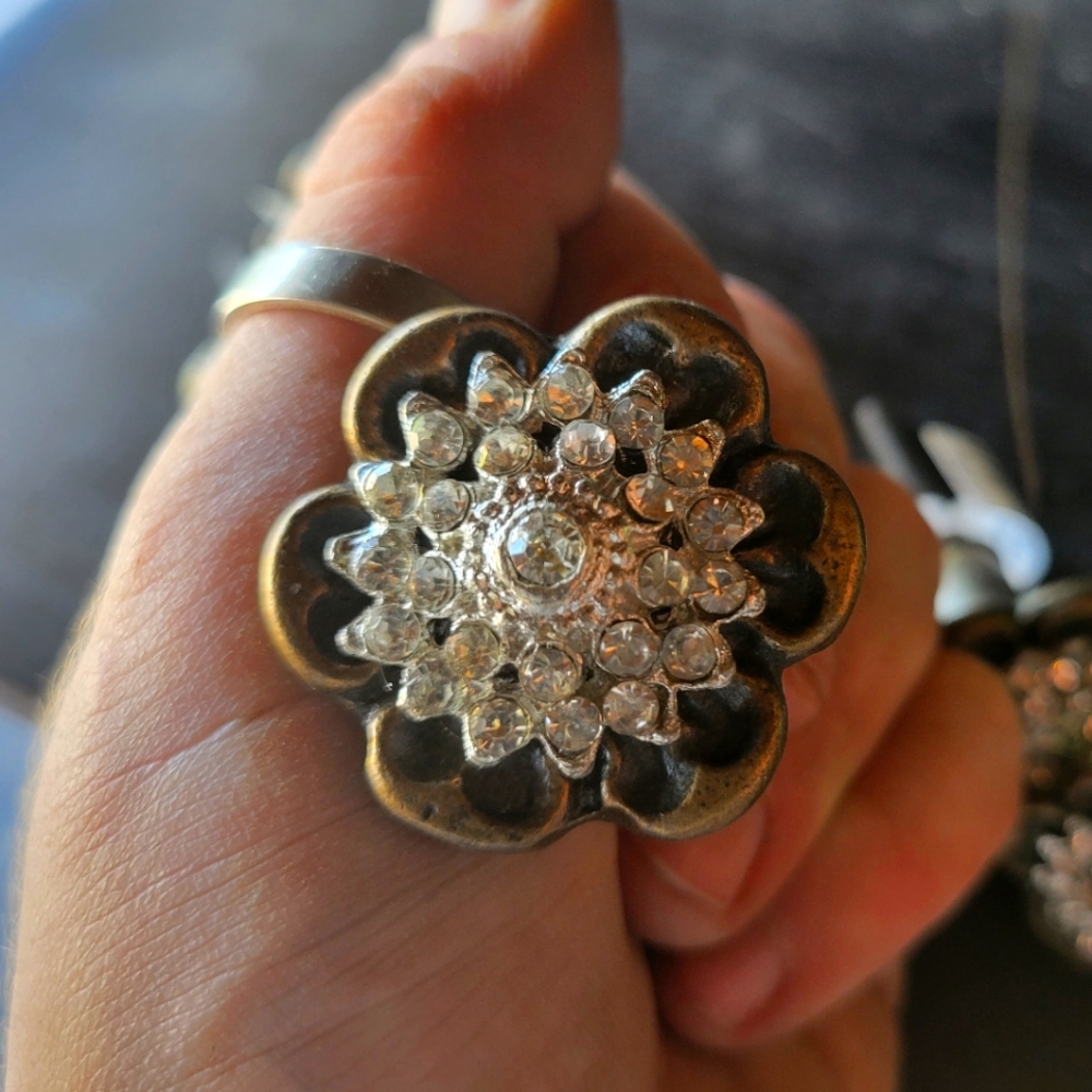 Beautiful drawer pulls (8)